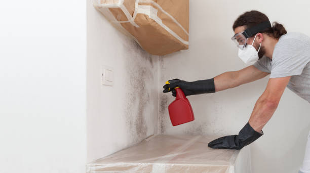 Professional Attic Mold Remediation technician working in Dublin, GA