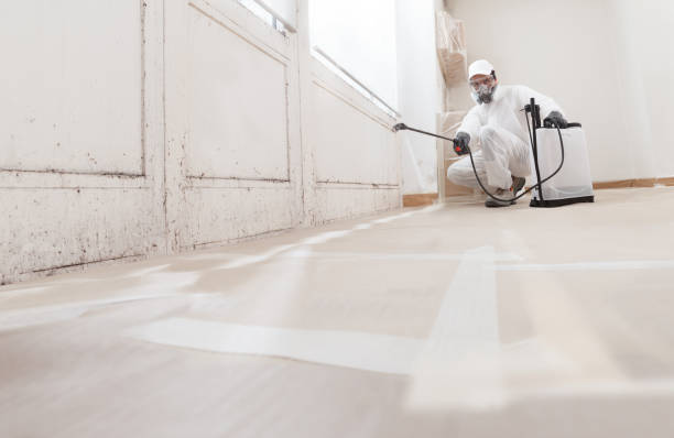 24/7 Emergency Attic Mold Remediation experts in Dublin, GA